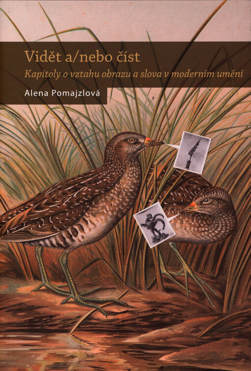 Vidět a/nebo číst: kapitoly o vztahu obrazu a slova v moderním umění
