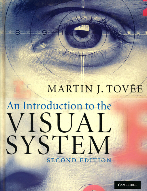 An introduction to the visual system