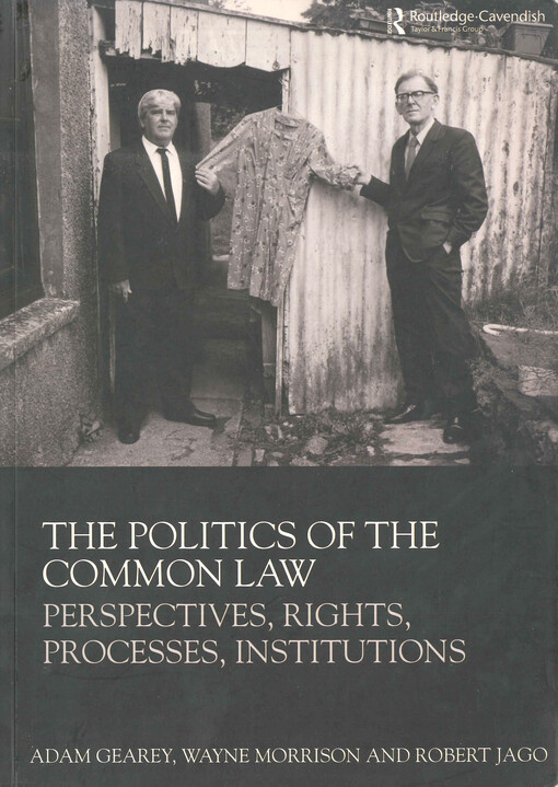 The politics of the common law : perspectives, rights, processes, institutions