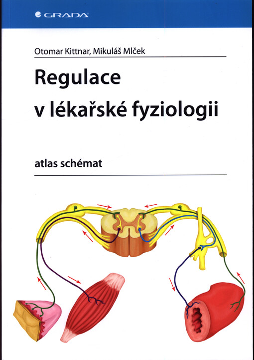 Regulace v lékařské fyziologii