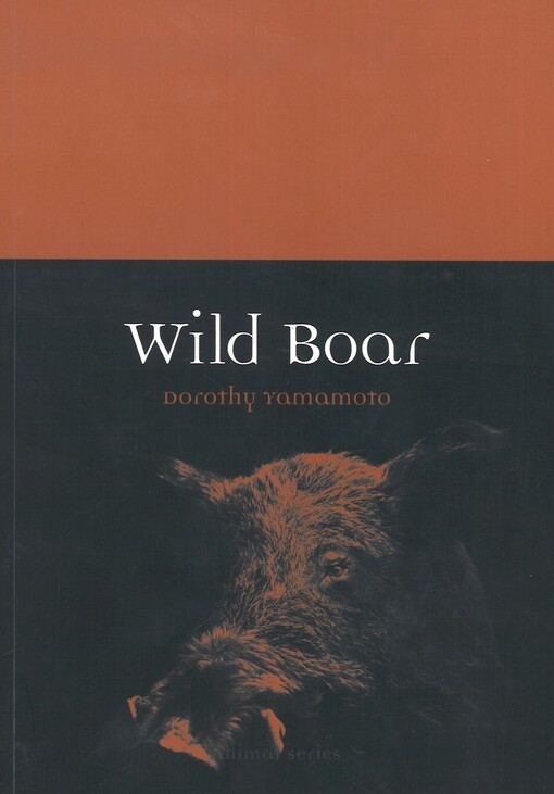 Wild Boar