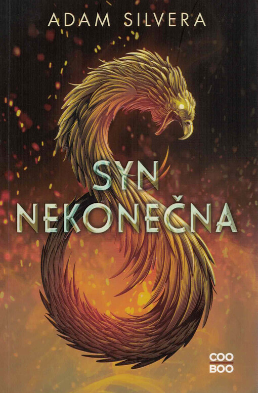 Syn nekonečna