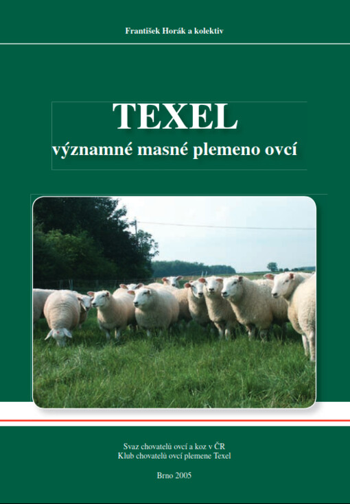 Texel - významné masné plemeno ovcí