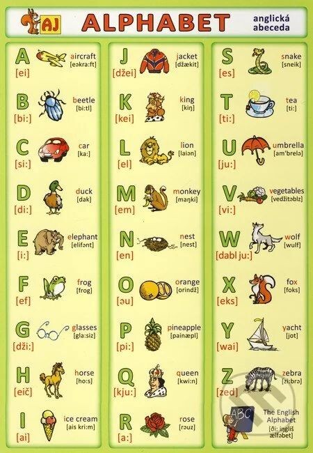 Alphabet : anglická abeceda