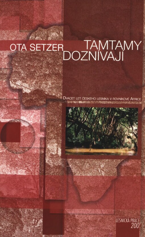 Tamtamy doznívají: dvacet let českého lesníka v rovníkové Africe