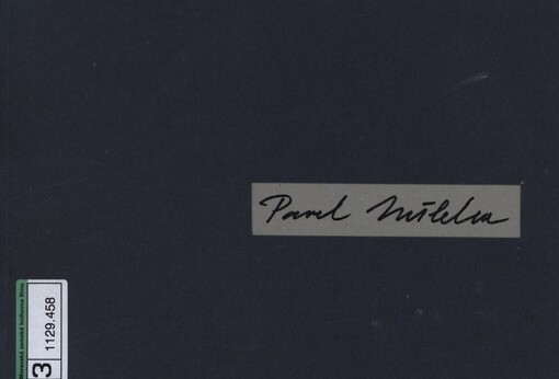 Pavel Nešleha: 52 záznamů světla 2002-2003 : Galerie moderního umění v Roudnici nad Labem, září - listopad 2003 : [katalog výstavy