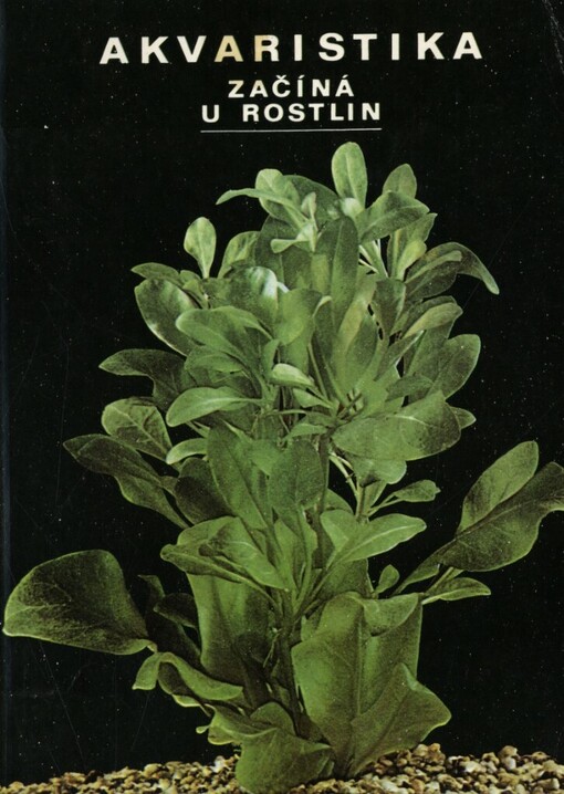 Akvaristika začíná u rostlin
