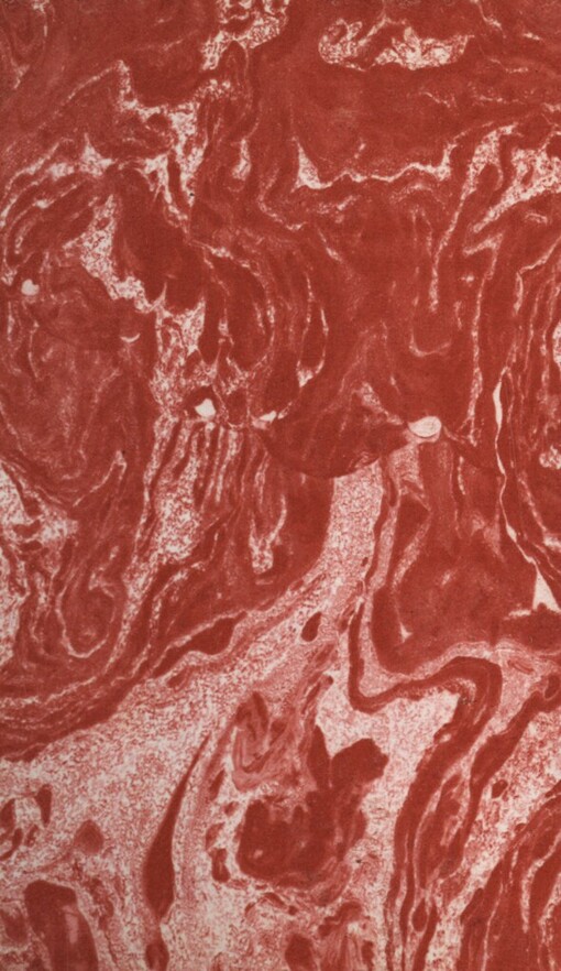 Večery s panem Dvojníkem