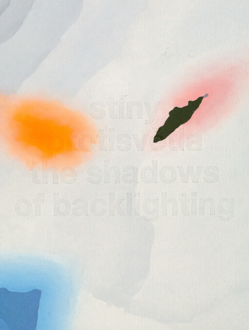 Anna Neborová: stíny protisvětla = the shadows of backlighting
