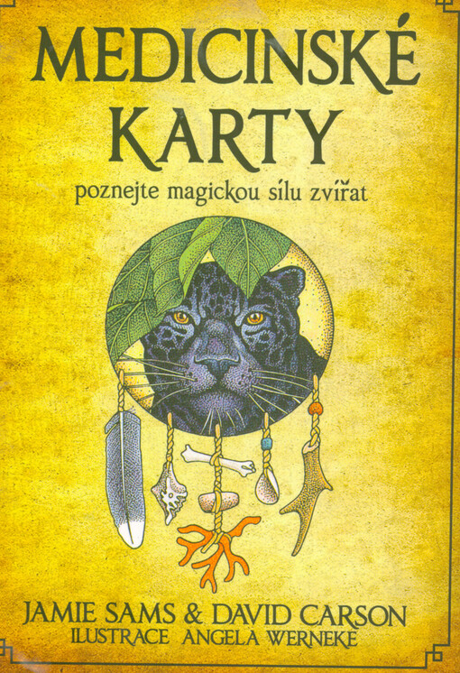 Medicinské karty : poznejte magickou sílu zvířat