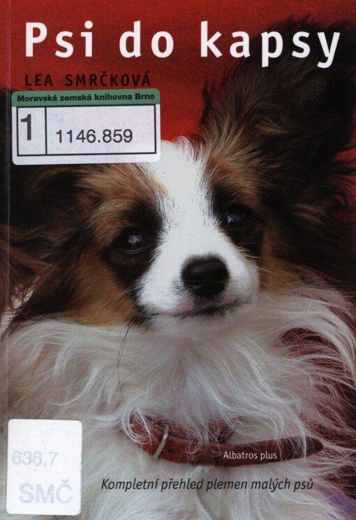 Psi do kapsy: kompletní přehled plemen malých psů