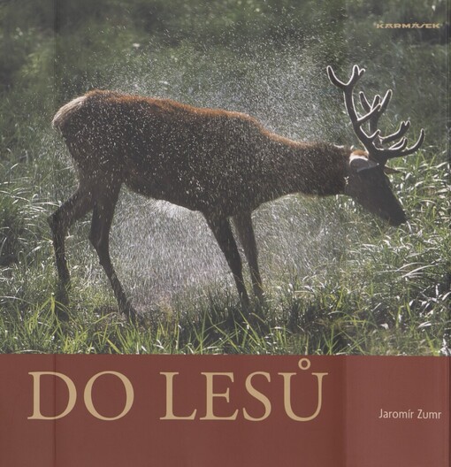 Do lesů
