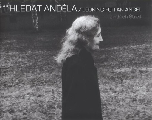 Hledat anděla = Looking for an angel