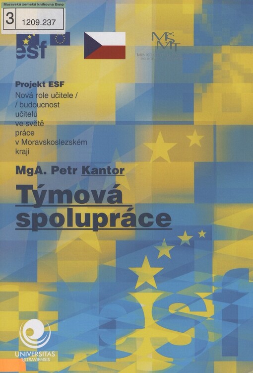 Týmová spolupráce