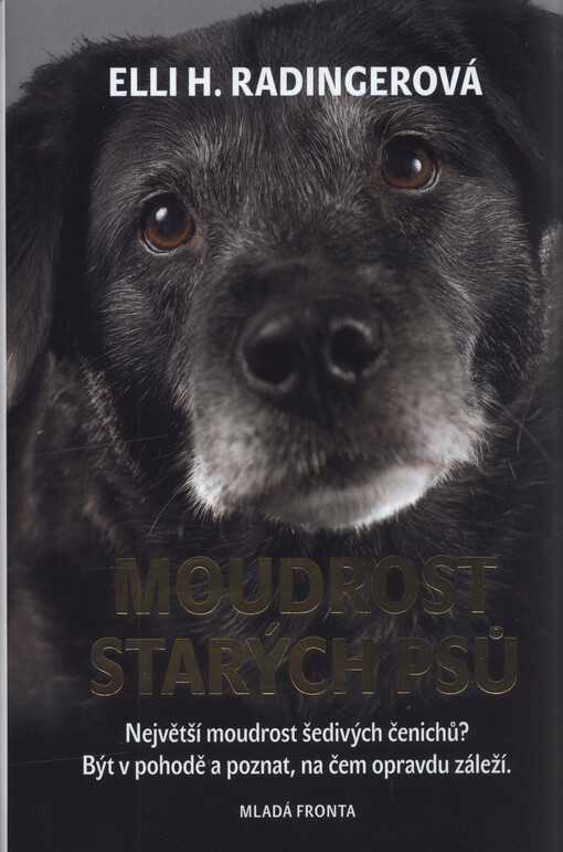 Moudrost starých psů