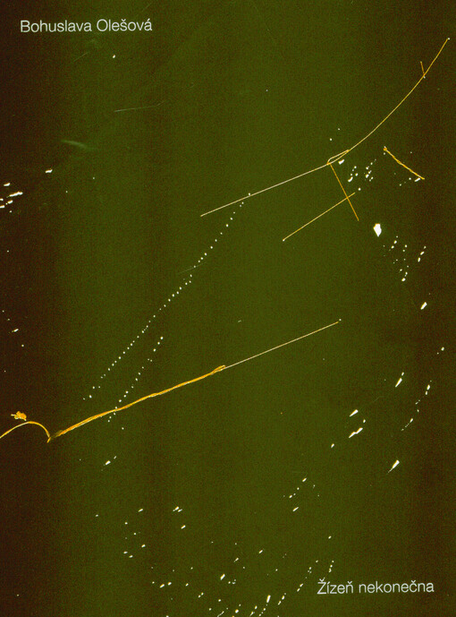 Bohuslava Olešová : žízeň nekonečna