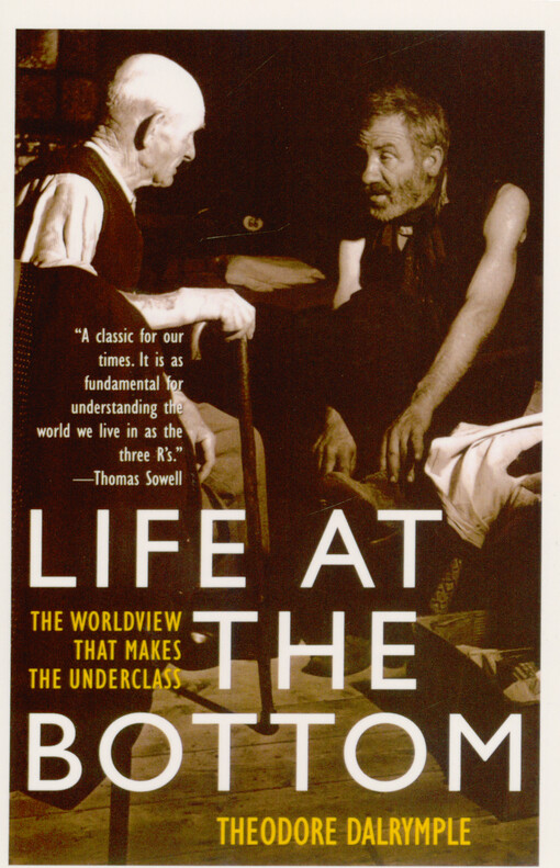Life at the bottom : the worldview that makes the underclass