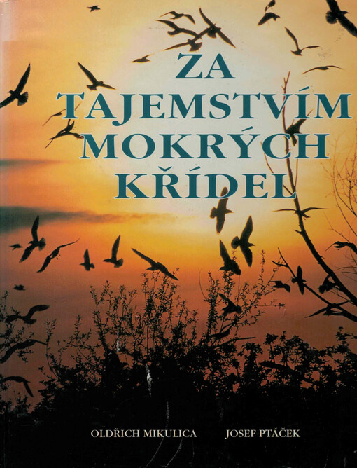 Za tajemstvím mokrých křídel