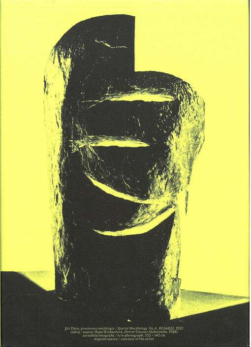 Jiří Thýn: mlčení, torzo, přítomnost = silence, torso, the present