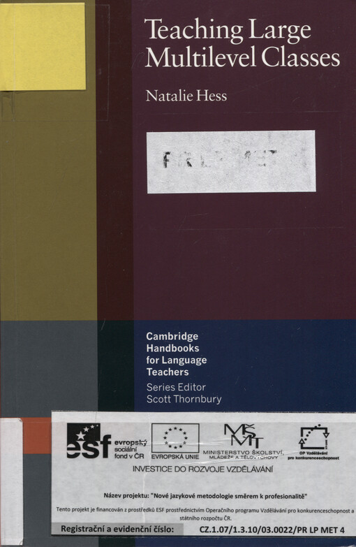 Teaching large multilevel classes