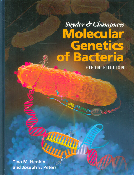 Molecular genetics of bacteria