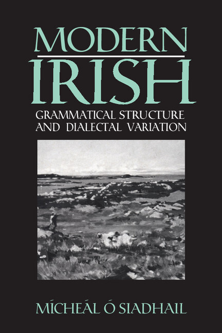 Modern Irish: Grammatical Structure and Dialectal Variation (Cambridge Studies in Linguistics)