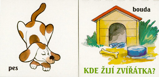 Kde žíjí zvířátka?