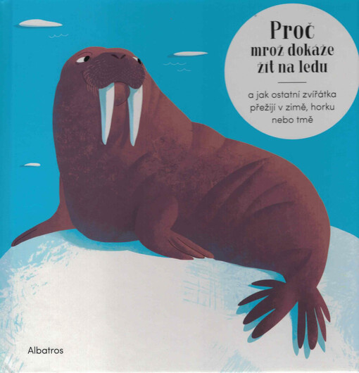 Proč mrož dokáže žít na ledu