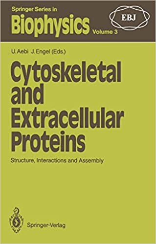 Cytoskeletal and extracellular proteins : structure, interactions and assembly, the 2nd International EBSA Symposium