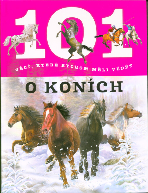 101 věcí, které bychom měli vědět o koních