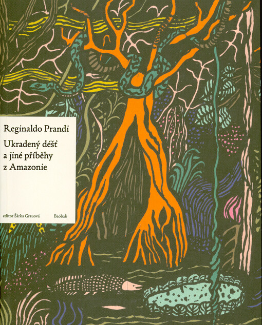 Ukradený déšť a jiné příběhy z Amazonie