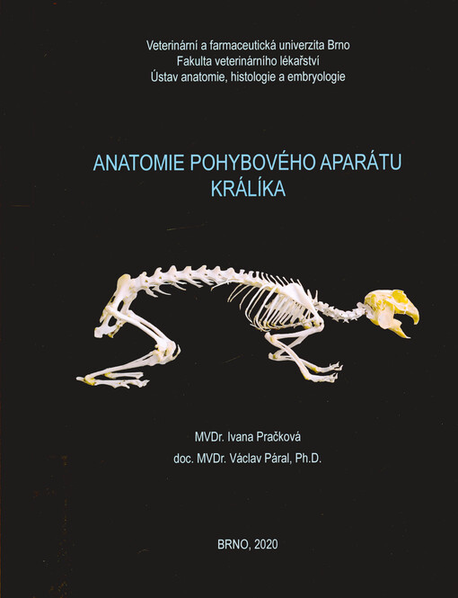 Anatomie pohybového aparátu králíka