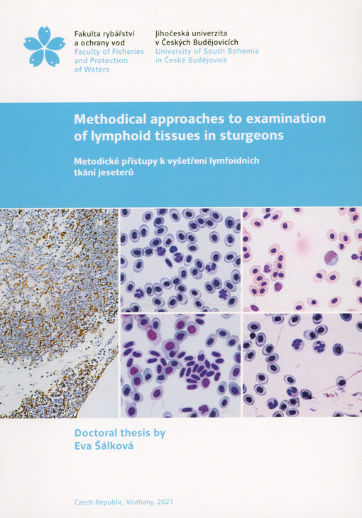 Methodical approaches to examination of lymphoid tissues in sturgeons = Metodické přístupy k vyšetření lymfoidních tkání jeseterů : doctoral thesis