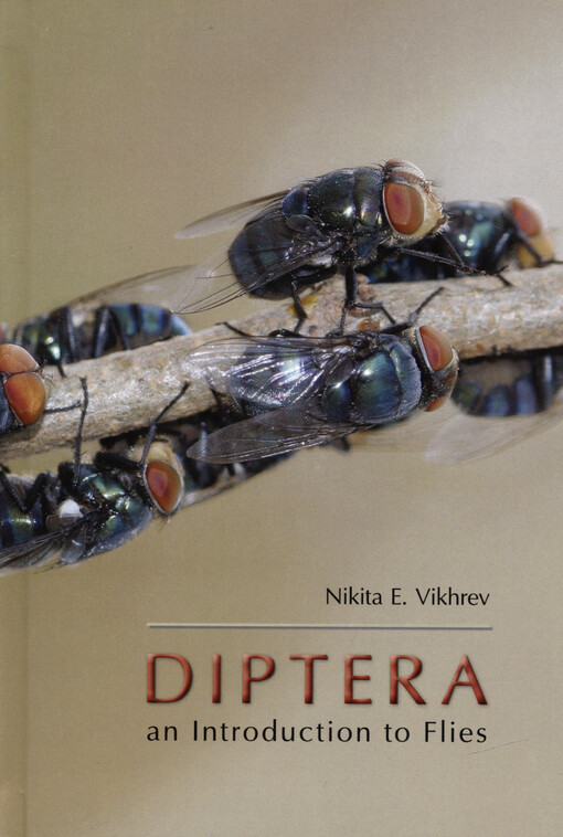 Diptera : an introduction to flies