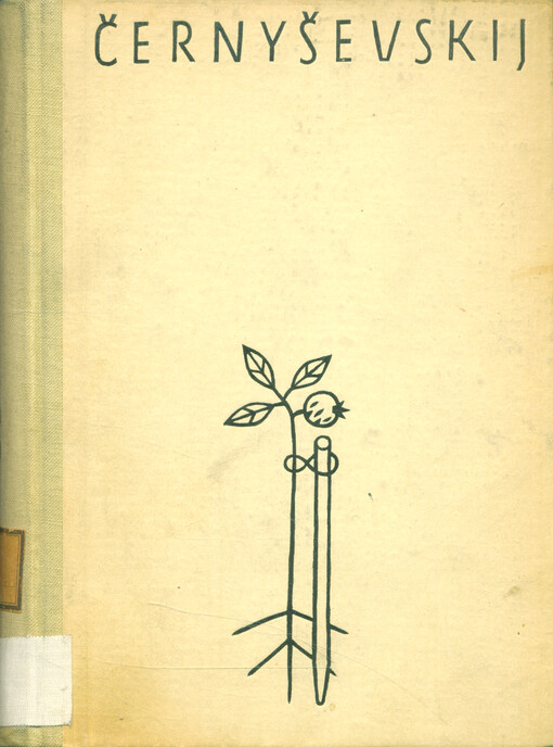 Pedagogické ideje N.G. Černyševského 