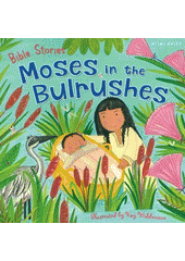 Moses in the bulrushes  (odkaz v elektronickém katalogu)