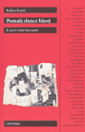 Pomalá slunce hlasů: k nové české literatuře : od Balabána ke Zgublačenkovi