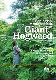 Ecology and Management of Giant Hogweed (Heracleum mantegazzianum) (Cabi Publishing)