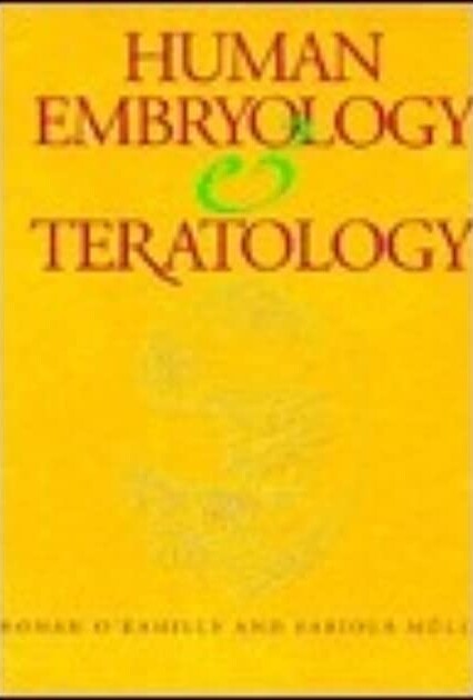 Human embryology and teratology