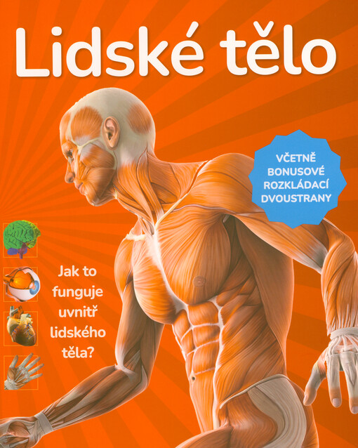 Lidské tělo