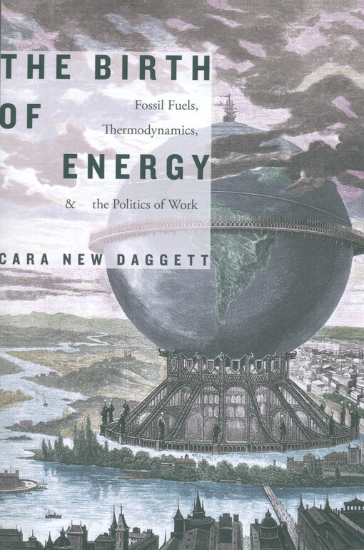 The birth of energy : fossil fuels, thermodynamics, and the politics of work