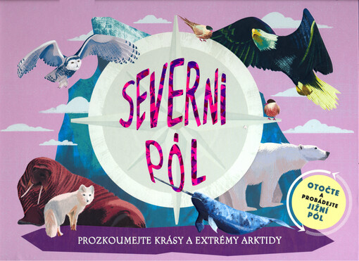 Severní pól, jižní pól