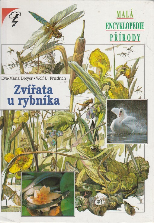 Zvířata u rybníka