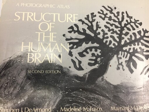 Structure of the Human Brain: A Photographic Atlas