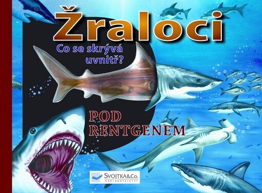 Žraloci pod rentgenem : co se skrývá uvnitř?