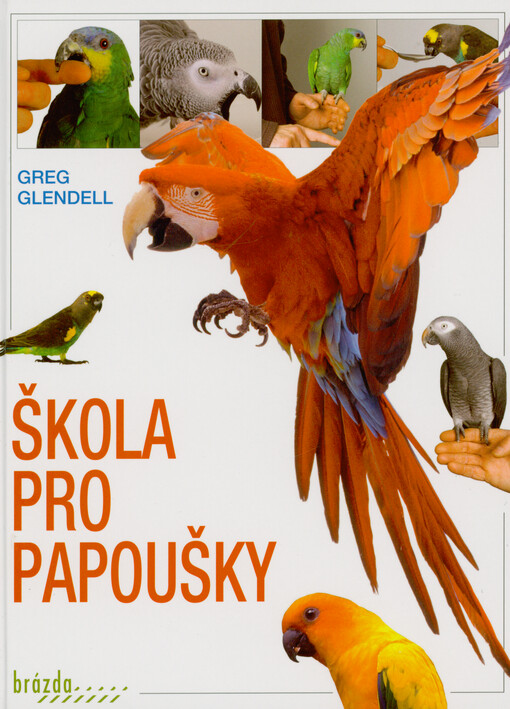 Škola pro papoušky