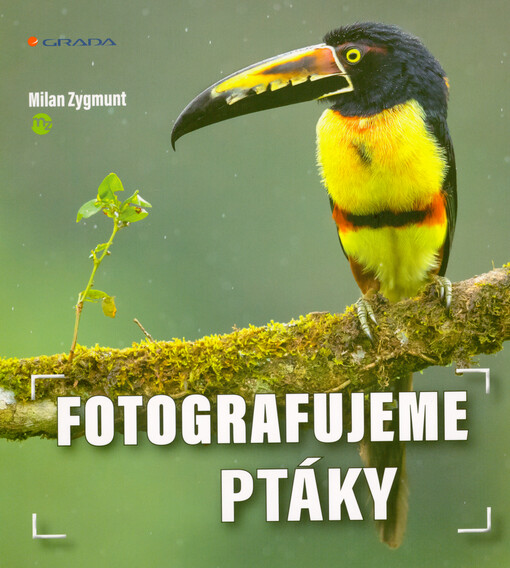 Fotografujeme ptáky