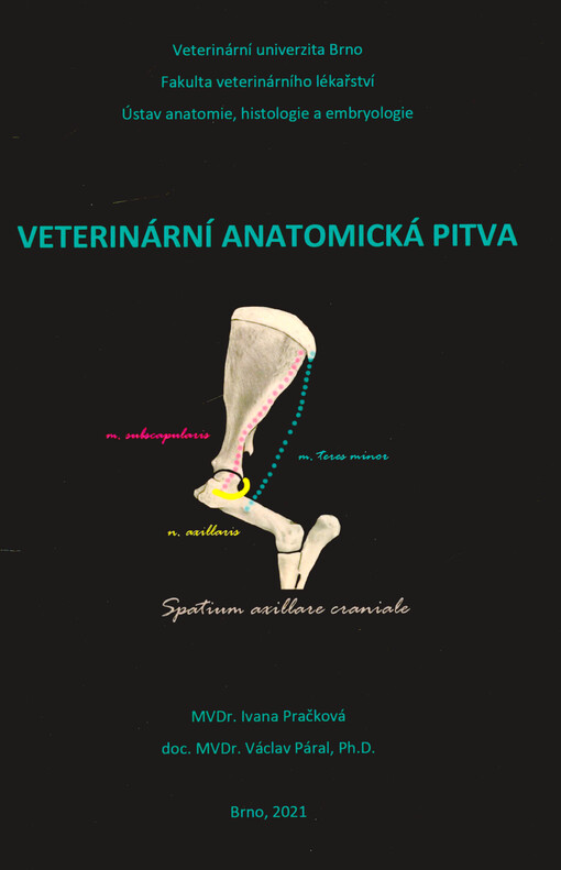 Veterinární anatomická pitva