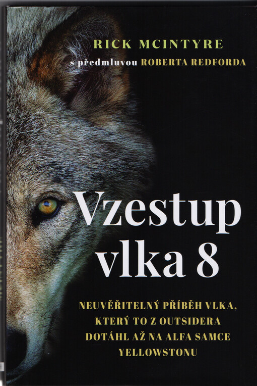 Vzestup vlka 8