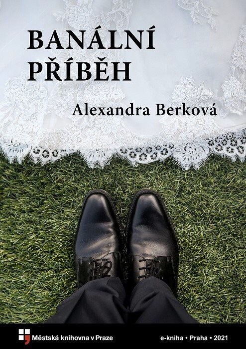 Banální příběh :filmová povídka o prostém životním běhu